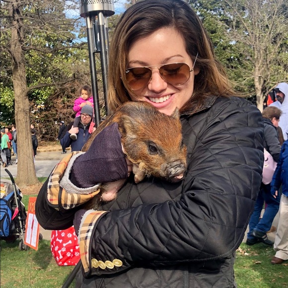 Meet your Posher, Brady - Picture 4 of 4